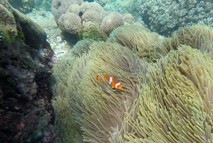 Blue Lagoon Padang Bai Bali