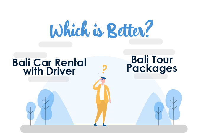 bali car rental with driver vs bali tour packages