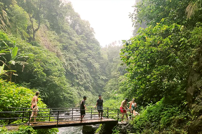 Sekumpul Jungle Trekking